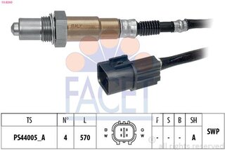 Facet ОКТ.60