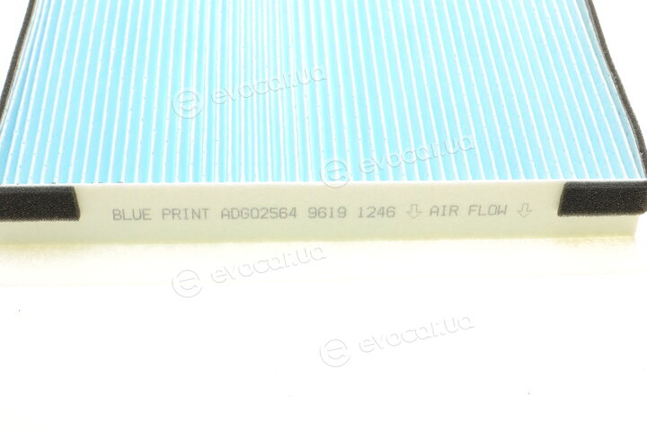 Blue Print ADG02564