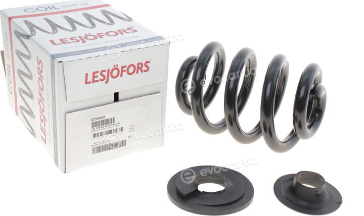 Lesjofors 4295069