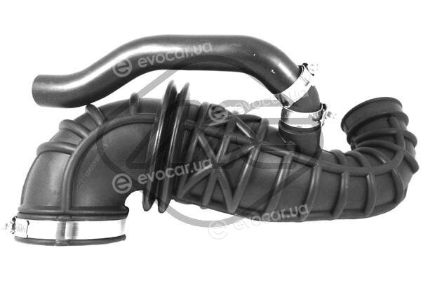 Metalcaucho / STC 05947
