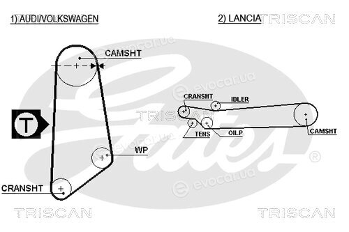 Triscan 8645 5031