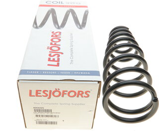 Lesjofors 4059225
