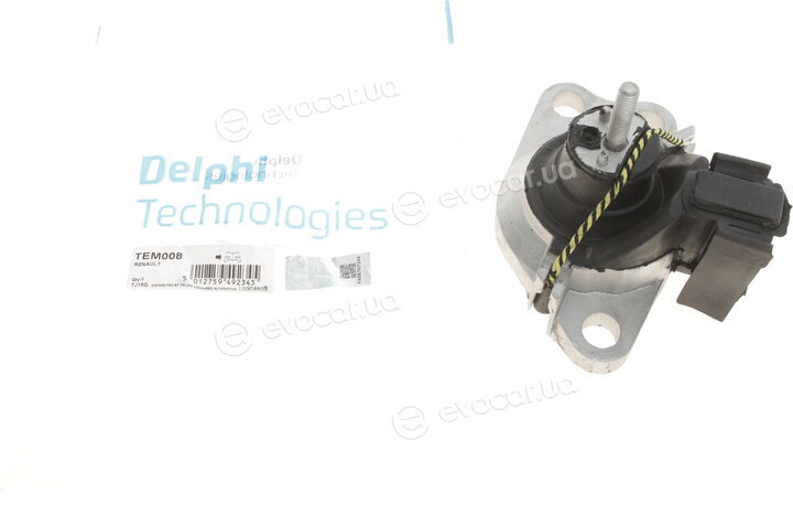 Delphi TEM008