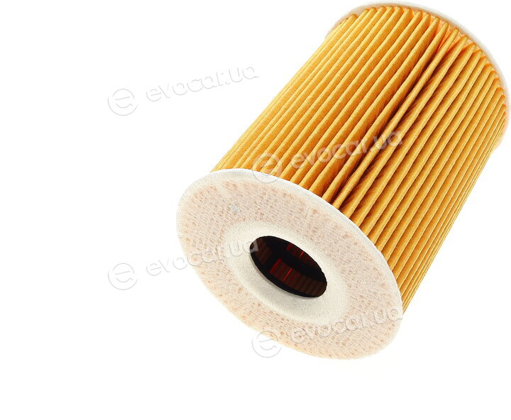 Mahle OX 254D4