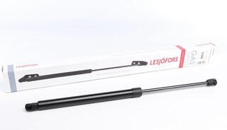 Lesjofors 8104248