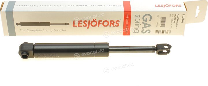 Lesjofors 8156804