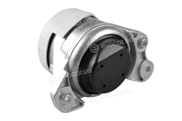 Tedgum TED46809