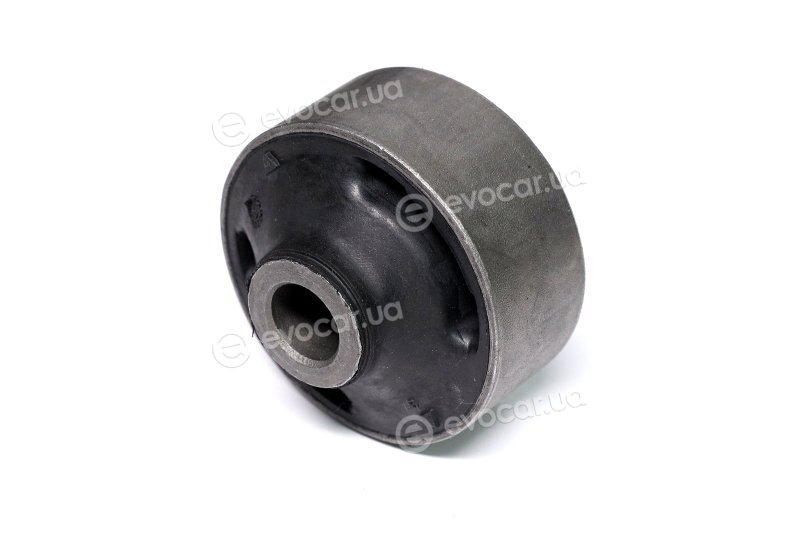 Sasic 2250021