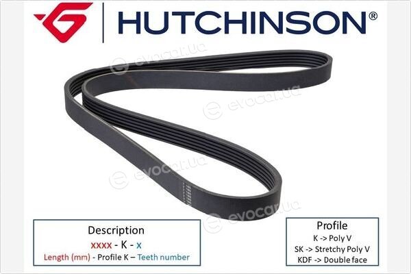 Hutchinson 1187 KDF 6