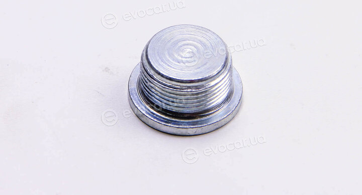 Metalcaucho / STC 04888