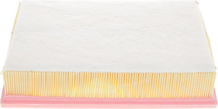 Solgy 103036