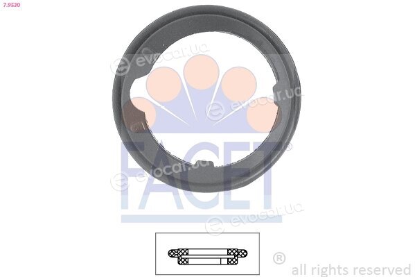 Facet 7.9530
