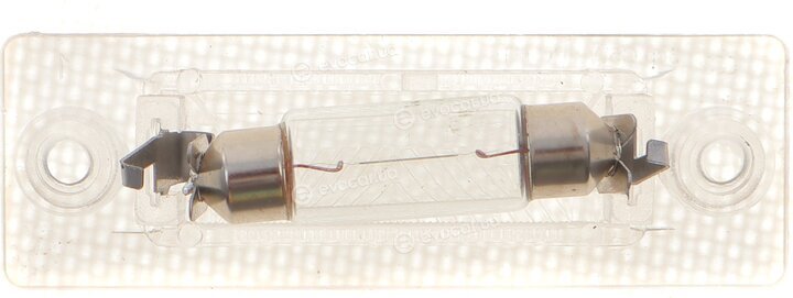 Rotweiss RWS1377
