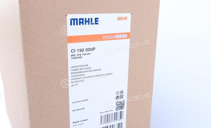 Mahle CI 192 000P