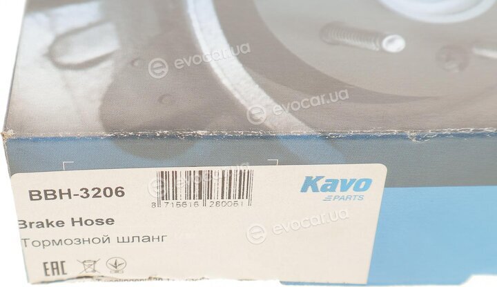 Kavo BBH-3206