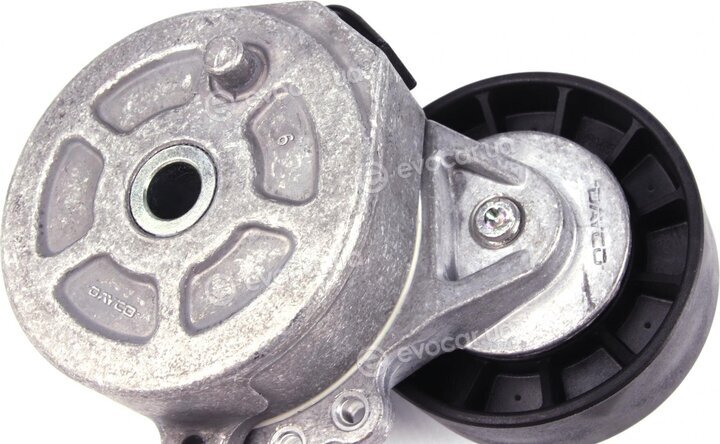 Hutchinson T0306