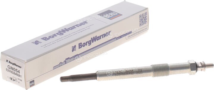Beru GN054