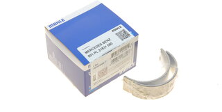 Mahle 001 PL 21831 050
