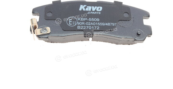 Kavo KBP-5509