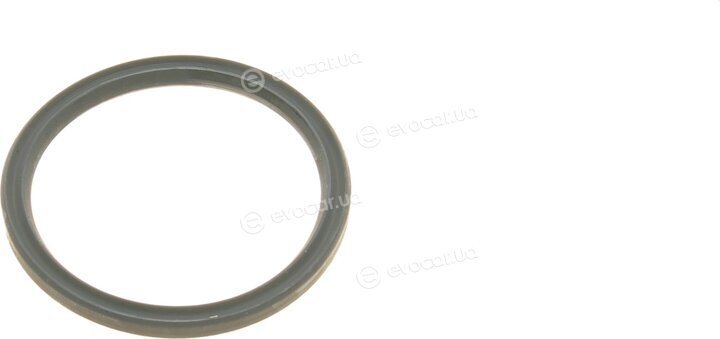 Elring 565.620