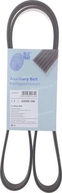 Blue Print AD06R1336