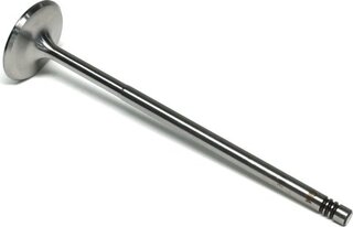 Gunes 6041