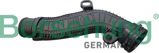 Borsehung B12348