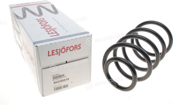 Lesjofors 4027631