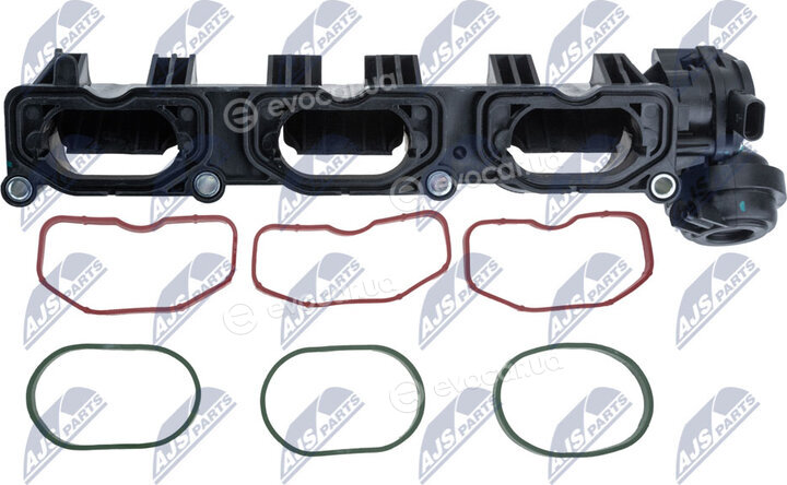NTY BKS-AU-011