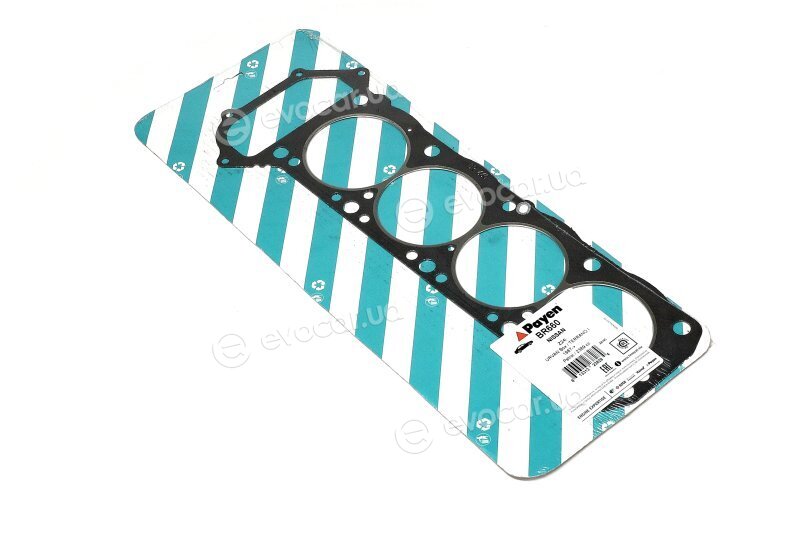 Payen BR660