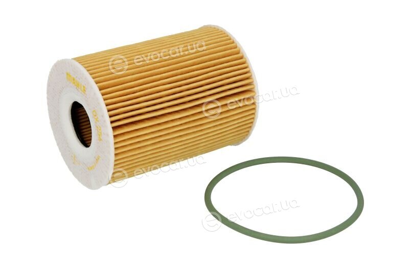 Mahle OX 254D4