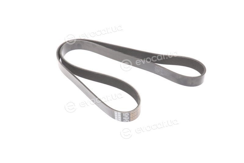 Dayco 8PK1365HD