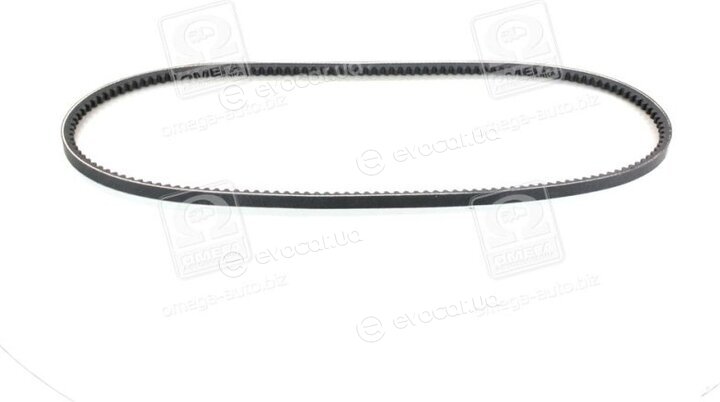 Continental AVX10X1000