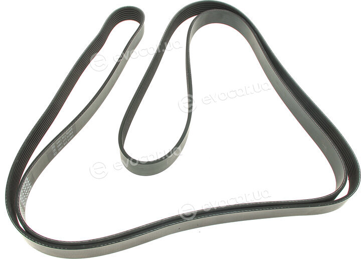 Dayco 7PK2872