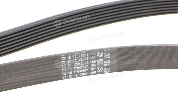 Continental 7PK1635