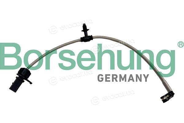 Borsehung B13274
