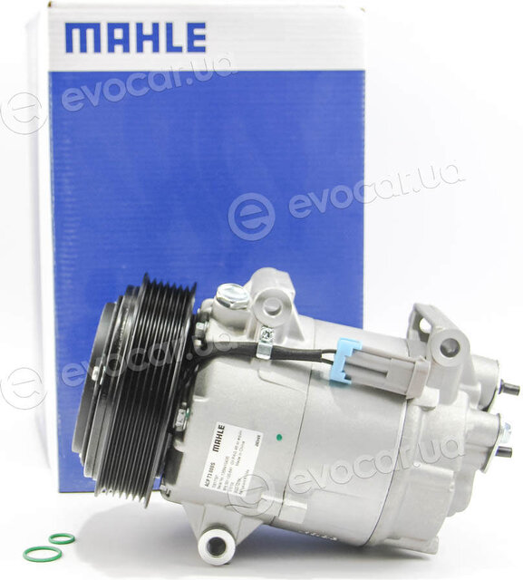 Mahle ACP 73 000S