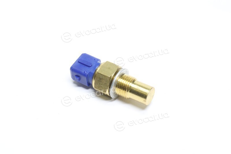 Vernet / Calorstat WS2502