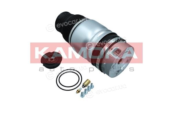 Kamoka 2079007