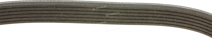 Dayco 6PK1030