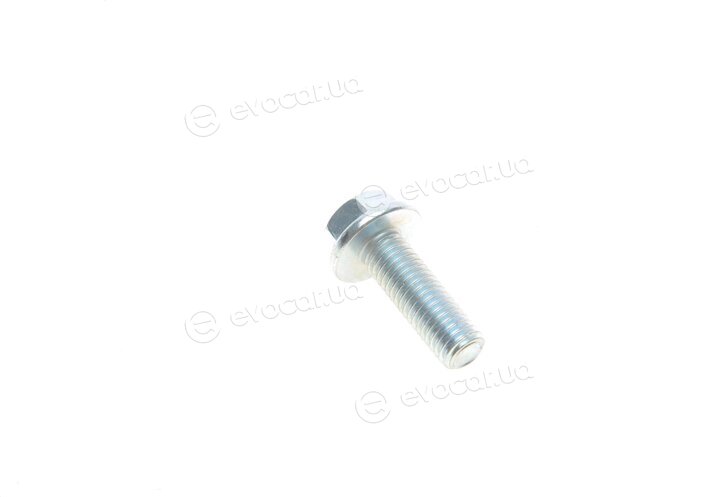 Solgy 203094