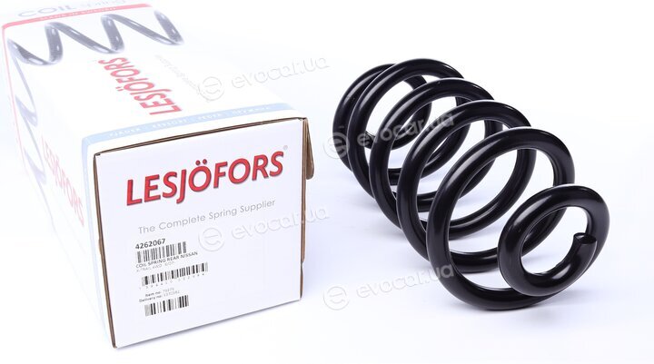 Lesjofors 4262067