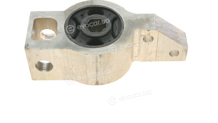 Borsehung B11351
