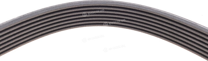 Continental 7PK1795