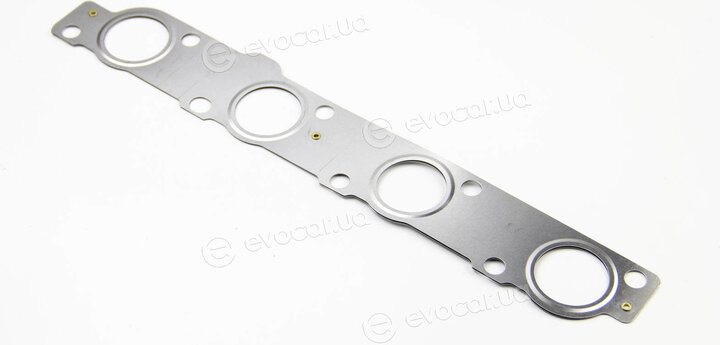 BGA MG0548