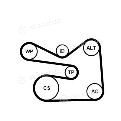 Continental 6PK1733K3