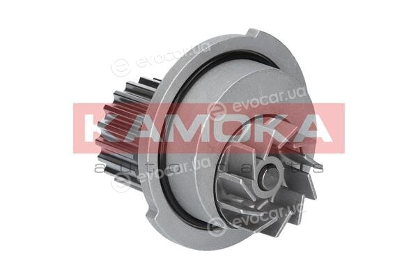 Kamoka T0066