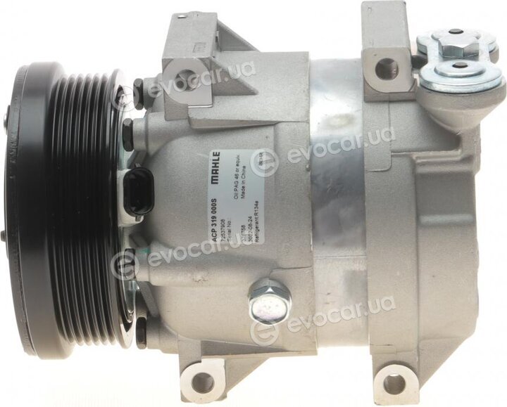 Mahle ACP 319 000S
