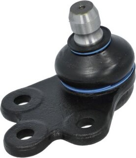 Reinhoch RH03-6011