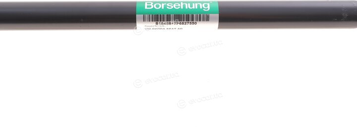 Borsehung B18458